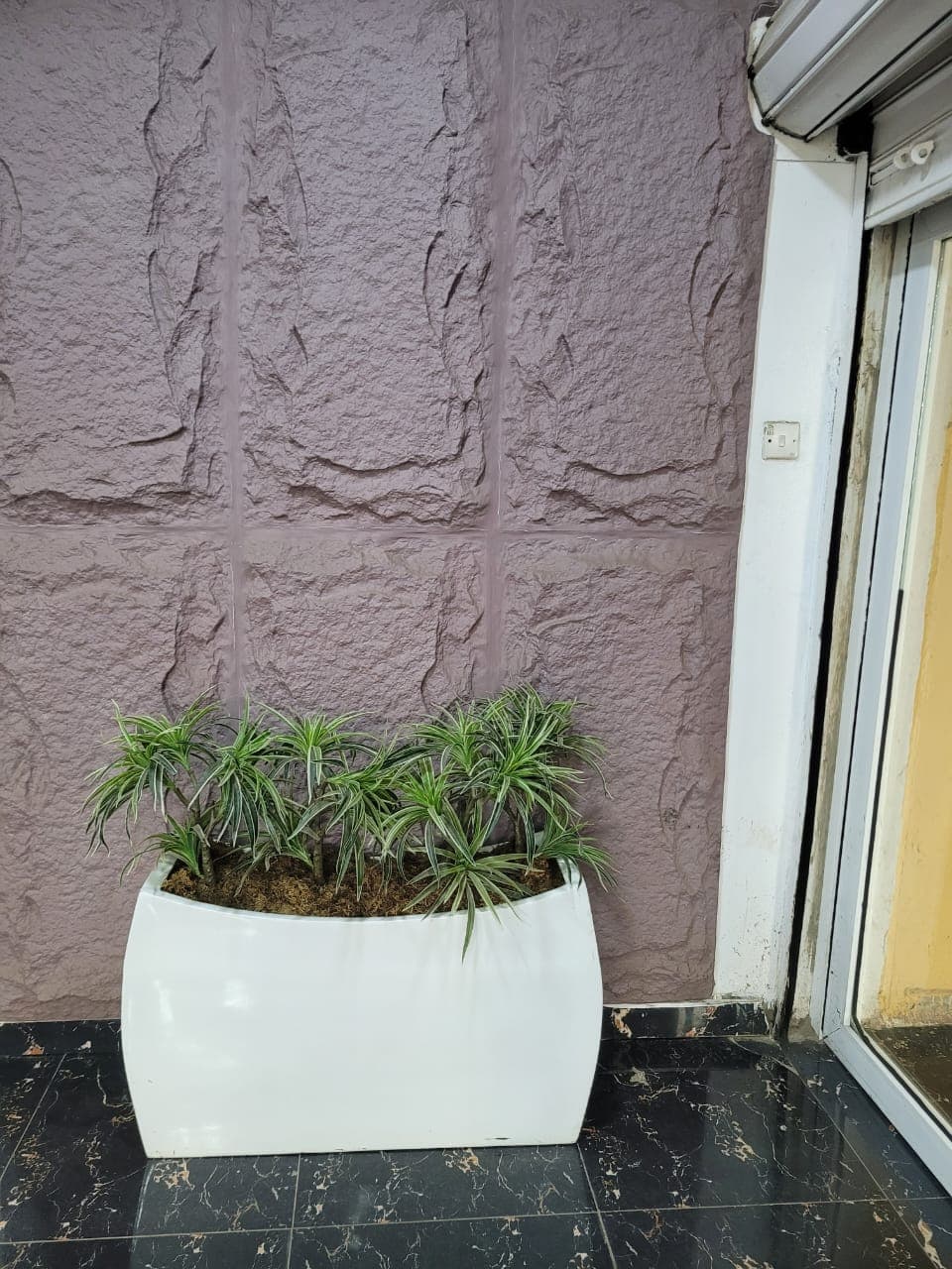 Another view of a treatment room